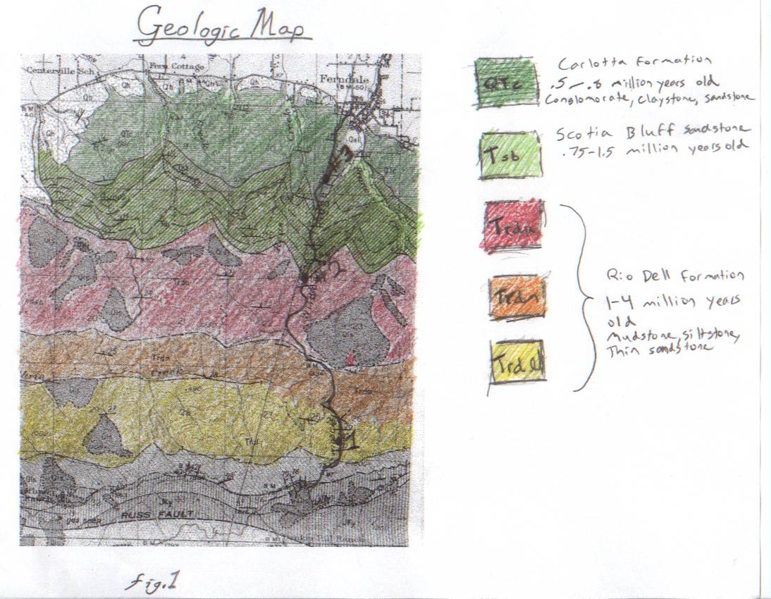 Wildcat Formation Geologic Report